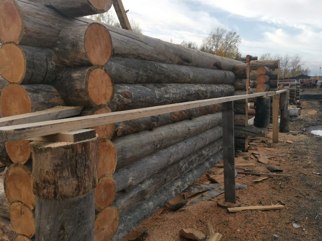 photo 2024 12 09 21.07.16