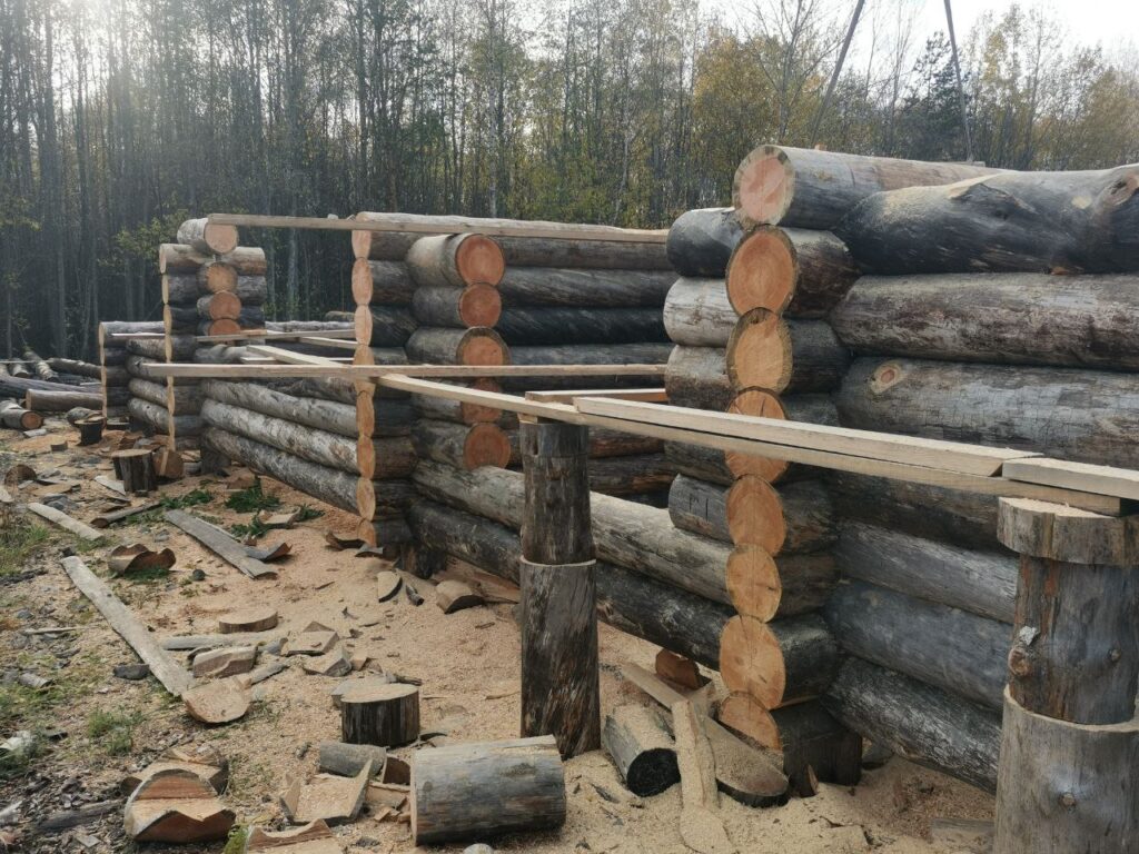 photo 2024 12 09 21.07.19